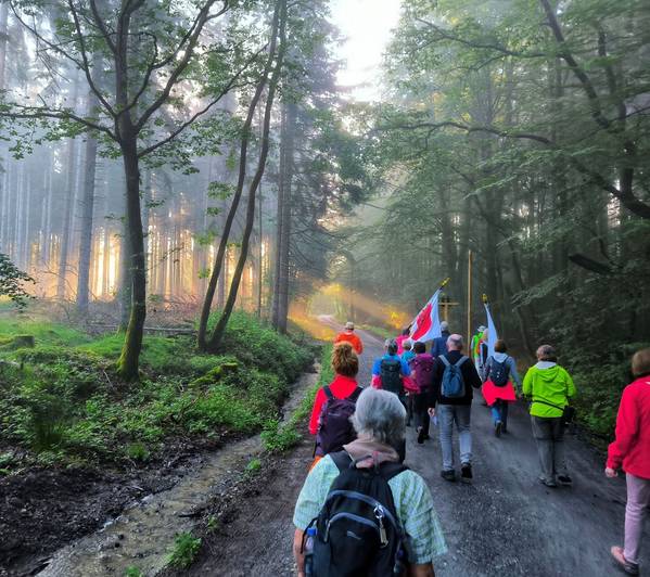 Pilgergruppe Köln-Porz-Urbach im Wald